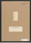 Diatomeae indet. Zeichnungen Sammlung Grunow Nr. 4550 (NHMW-BOT-W0372510)